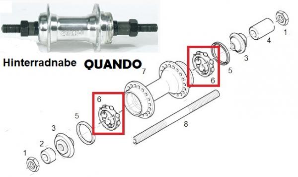 KUGELHALTER, HR. Ø 25,0 MM, 7-KUGELN 1/4"